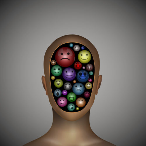Introduction to Content Management Systems (CMS)